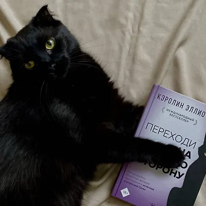 Переходи на темную сторону! Как превратить запретные желания подсознания в источник внутренней Силы - фото 3