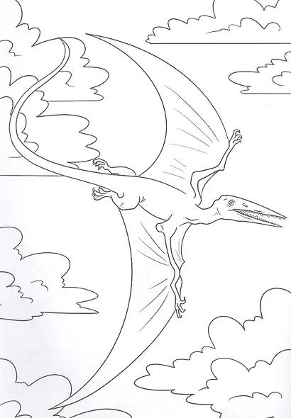 РАСКРАСКА А4 эконом. ЭРА ДИНОЗАВРОВ - фото 3