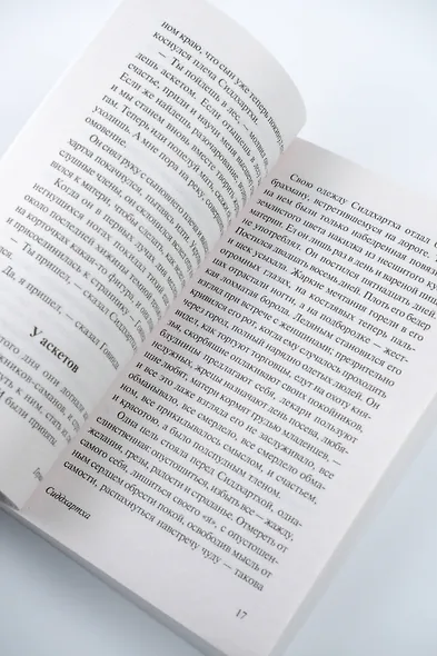 Сиддхартха - фото 8