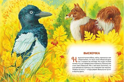 Усы, перья и хвосты. Рассказы русских писателей о животных (ил. М. Белоусовой) - фото 9