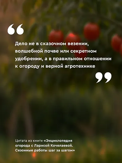 Энциклопедия огорода с Ларисой Кочелаевой. Сезонные работы шаг за шагом - фото 6