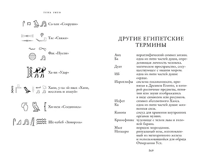 Наследники богов. Книга 3. Тень змея - фото 9