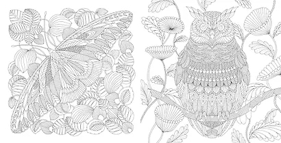 Чудеса природы. Золотая коллекция любимых иллюстраций - фото 4