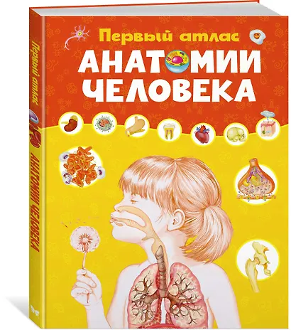 Первый атлас анатомии человека - фото 3