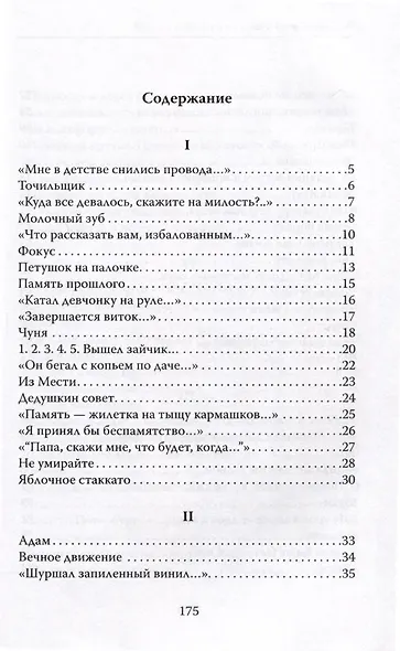 Яблочное стаккато - фото 3