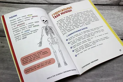 Книга о теле человека с полезными заданиями и упражнениями - фото 5