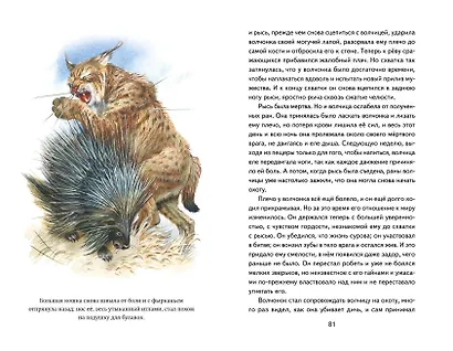 Белый Клык (ил. В. Канивца) - фото 11