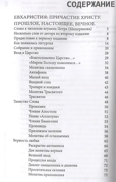 Евхаристия Причастие Исповедь Покаяние (Дудченко) - фото 2