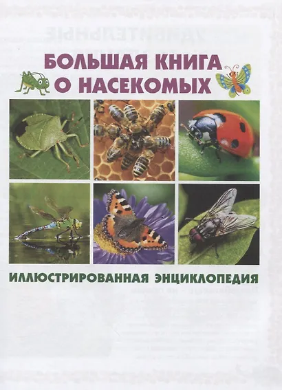 Большая книга о насекомых. Иллюстрированная энциклопедия - фото 2