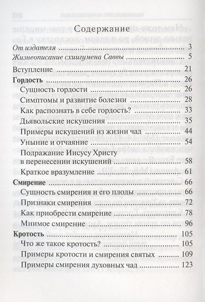Спеши начать духовный путь. О главном пороке души и христианских добродетелях - фото 2