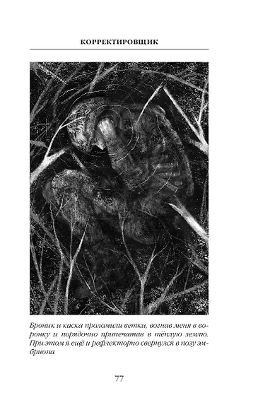 Корректировщик - фото 13