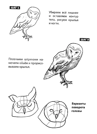 Скетчбук А5 Уроки рисования по шагам. Животные - фото 3