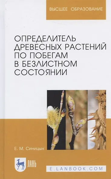 Определитель древесных растений по побегам в безлистном состоянии. Учебное пособие - фото 3