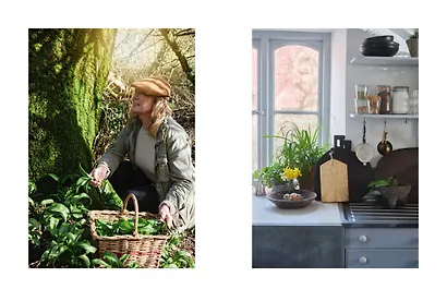 Суп дня: Супы, бульоны, пюре, а также хлеб, крутоны, гренки. 120 живительных рецептов - фото 7