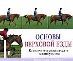 Основы верховой езды: Как научиться сидеть  в седле за один уик-энд - фото 1