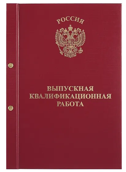 Обложка "Выпускная квалификационная работа" ассорти, 2 отверстия, бумвинил - фото 5