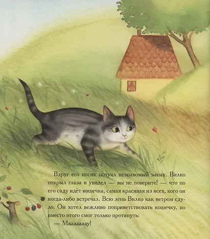 Вилко и его семья - фото 4