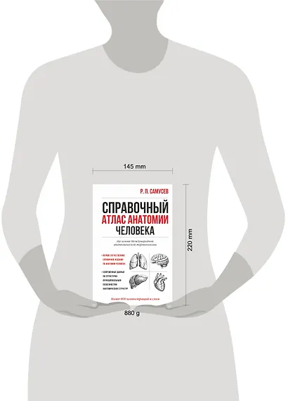 Справочный атлас анатомии человека. На основе Международной анатомической терминологии - фото 5