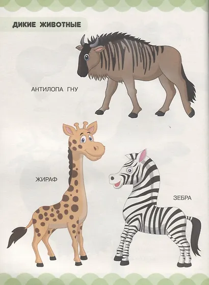 Копилка самых первых знаний малыша - фото 4