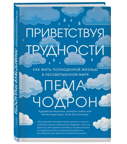 Приветствуя трудности. Как жить полноценной жизнью в несовершенном мире - фото 3