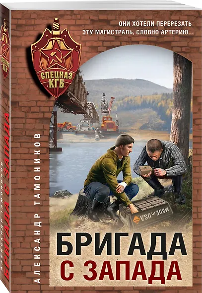 Бригада с запада - фото 3