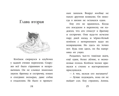 Котенок Пикси, или Самый маленький друг (выпуск 58) - фото 13
