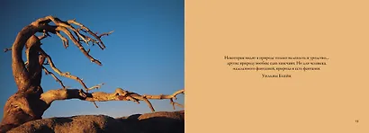 Деревья. Красота и гармония - фото 7