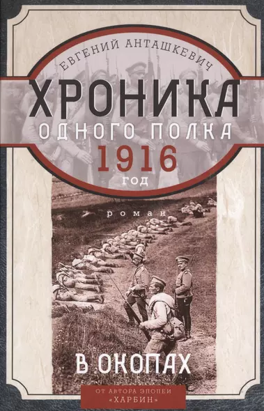 В окопах. 1916 год. Хроника одного полка - фото 1