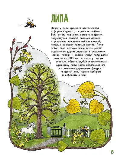 Деревья - фото 5