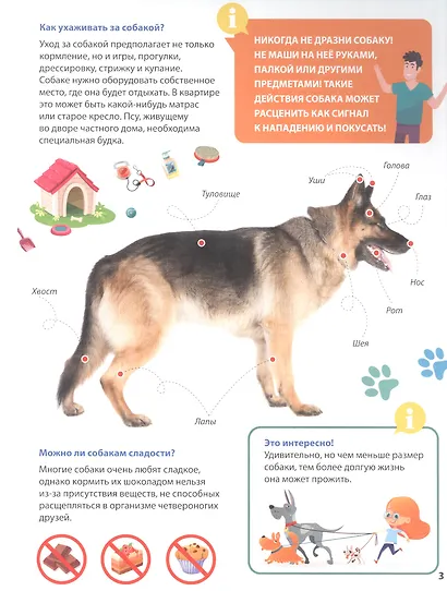 ПЕРВАЯ ДЕТСКАЯ ЭНЦИКЛОПЕДИЯ. ВСЁ О ДОМАШНИХ ПИТОМЦАХ МАЛЫШАМ - фото 3