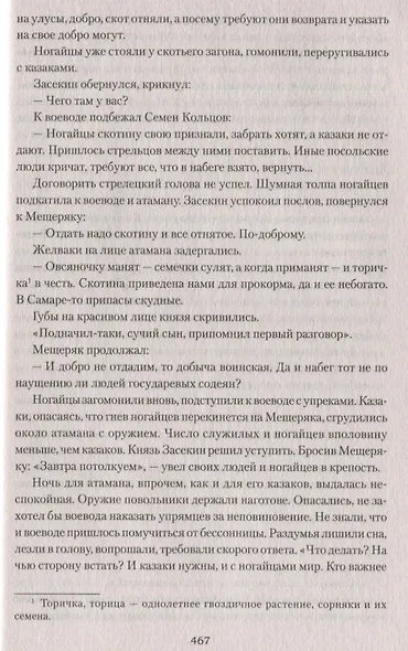 Сарматы: Рать порубежная - фото 5