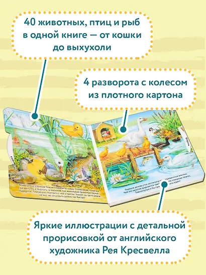 У пруда - фото 4