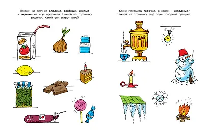 Свойства предметов (5-6 лет) - фото 4