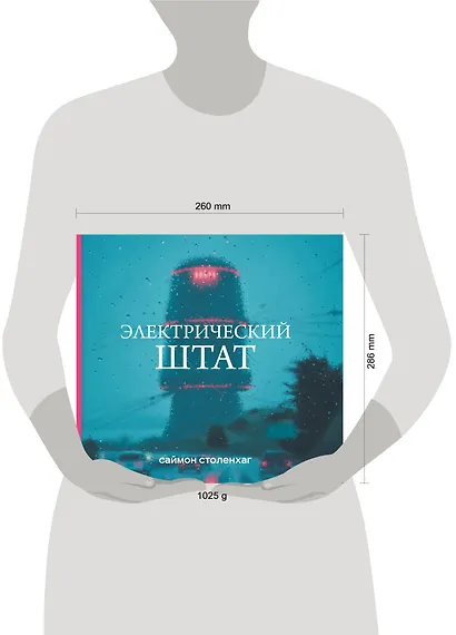 Электрический штат - фото 4