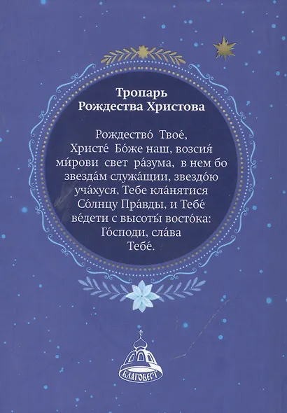 Рождественский цветник - фото 2