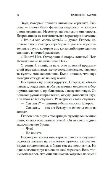 Сын полка - фото 15