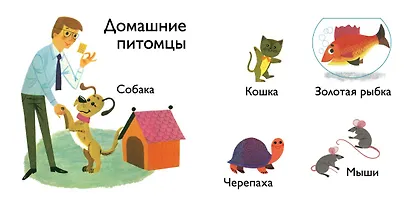 Животные - фото 4