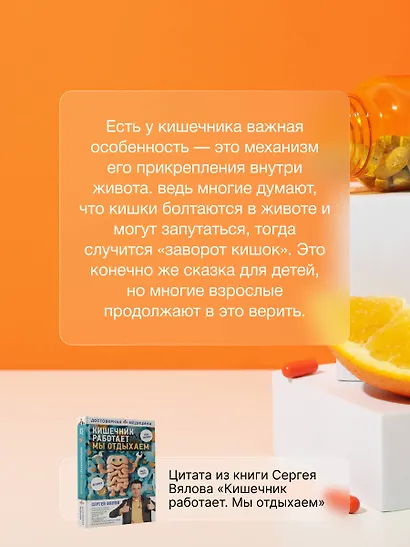 Кишечник работает. Мы отдыхаем - фото 5