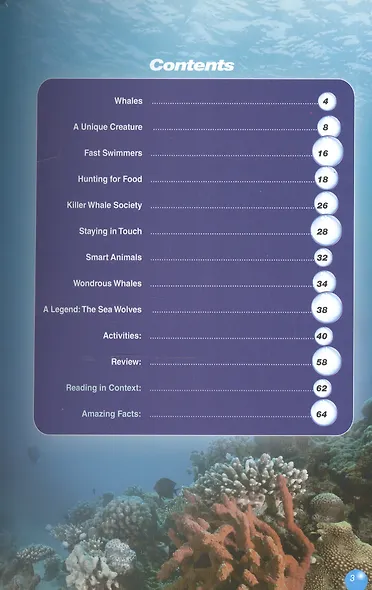 The Killer Whale (Discover Our Amazing World) Reader. Книга для чтения - фото 2