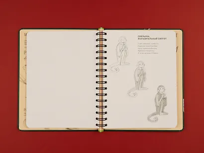 Sketchbook. Животные - фото 5