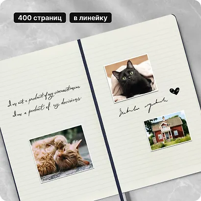 Книга для записей А5, 200 листов в линейку "Classic Expanded Large", твердая обложка, синий сапфир, резинка, 2 ляссе, Moleskine - фото 10