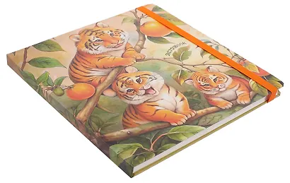 Скетчбук 200*200 80л "Цитрусовые тигрята" 100г/м2, тв.обложка, мат.ламинация, резинка - фото 2