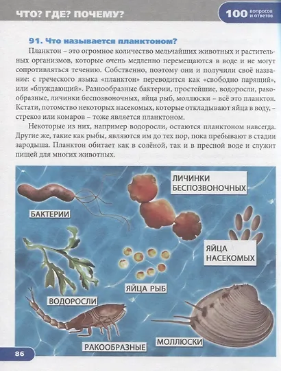 Что? Где? Почему? Энциклопедия - фото 4