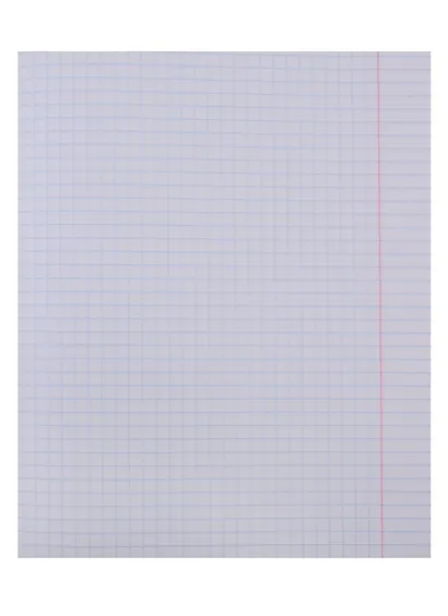 Тетрадь в клетку Альт, "Веселые еноты", 48 листов, в ассортименте - фото 3