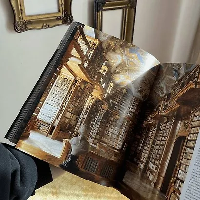 Книги. Всемирная история библиотек - фото 9