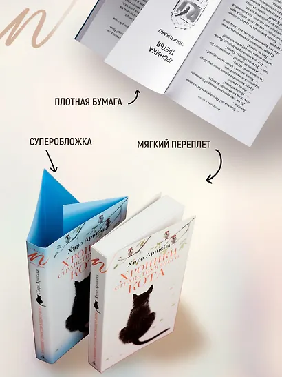 Хроники странствующего кота - фото 5