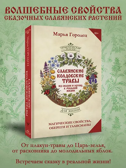 Славянские колдовские травы из сказок и легенд в реальной жизни. Магические свойства, обереги и талисманы - фото 4