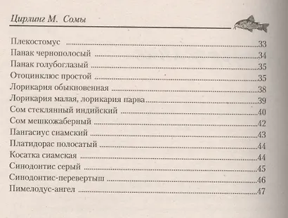 Сомы в аквариумах любителей - фото 3