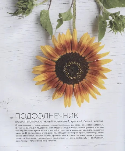 Цветочные рецепты. 100 стильных букетов на все случаи жизни - фото 6