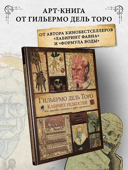 Кабинет редкостей. Мои зарисовки, коллекции и другие одержимости - фото 4